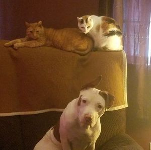 Meet your Posher, Heather